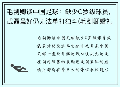 毛剑卿谈中国足球：缺少C罗级球员，武磊虽好仍无法单打独斗(毛剑卿婚礼)